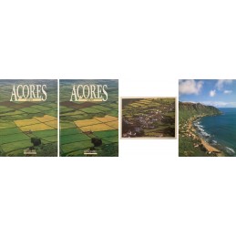 Açores/ Azores - Álamo...